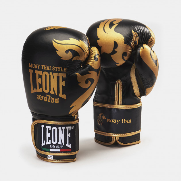 Gants de boxe Leone Il Tecnico N3 14 oz - Gants de Boxe - Gants &  Protections - Sports de combat
